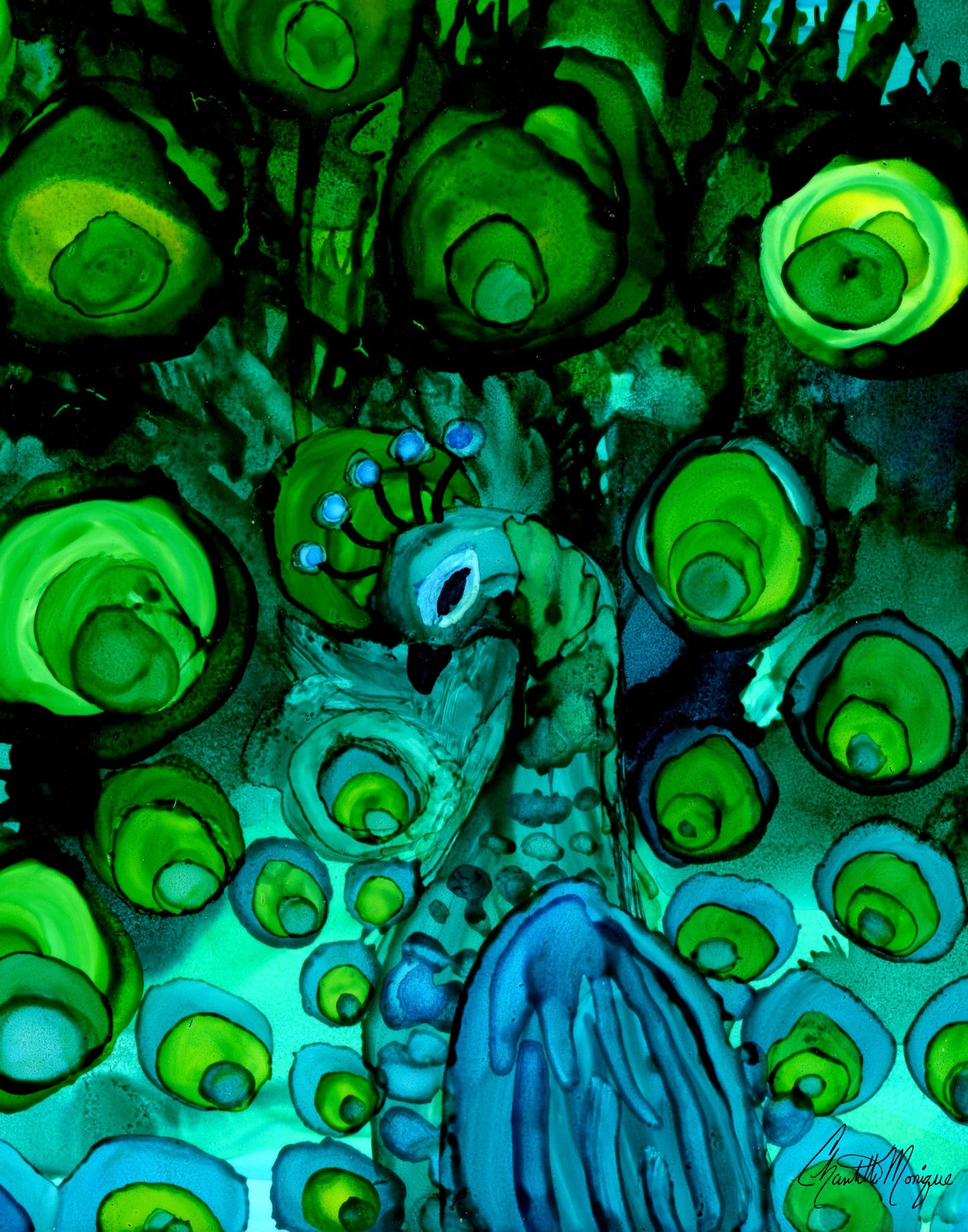 Peacock Print 11x14